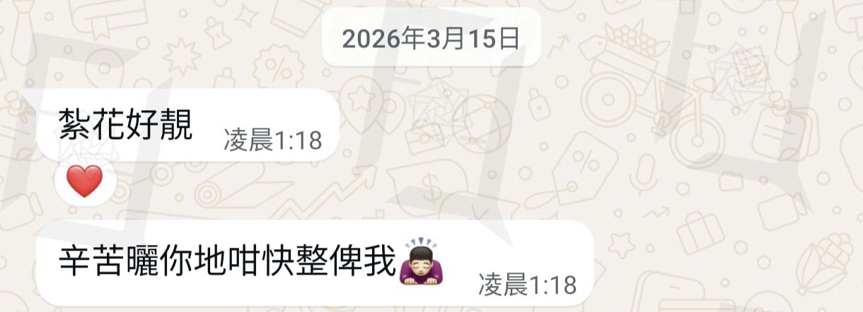 鮮花花束 & 永生花 | 香港花店 26 WhatsApp 原圖